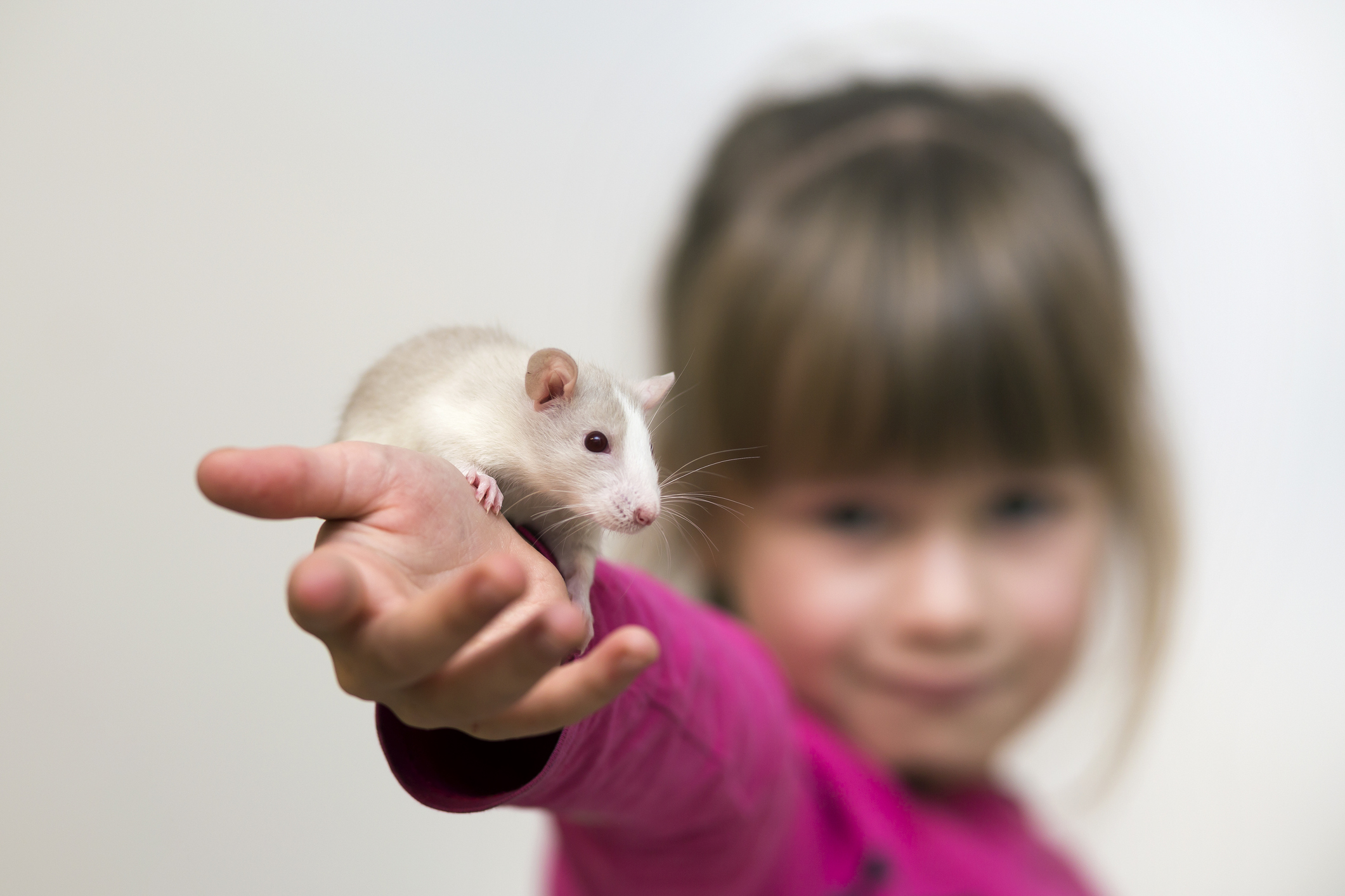  Werden die Kinder der Elite zu Versuchskaninchen der Künstlichen Intelligenz?