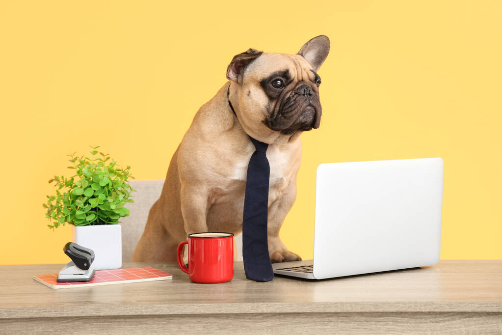 Warum bestehen Websites darauf, zu beweisen, dass du ein Mensch bist?